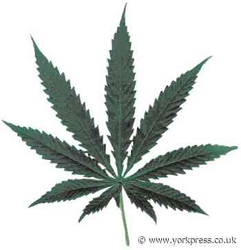 Trio to pay back their drug profits