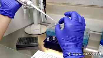 200 nuevos casos de Covid-19 entre Coronel, San Pedro y Concepción - 24Horas.cl