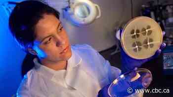 Why overuse of antibiotics in COVID-19 could have lasting impact in health care