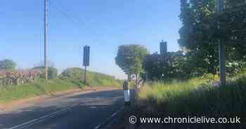 Petition launched to reduce speed of 'dangerous' Sunderland road