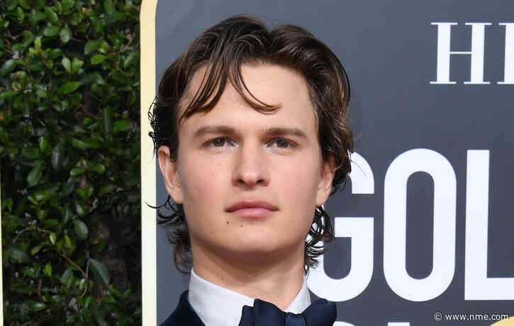 Ansel Elgort denies sexual assault allegations