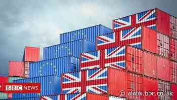 Brexit: UK plans to keep post-transition trade with EU flowing