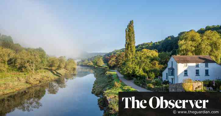 ‘It's like pea soup’: poultry farms turn Wye into wildlife death trap