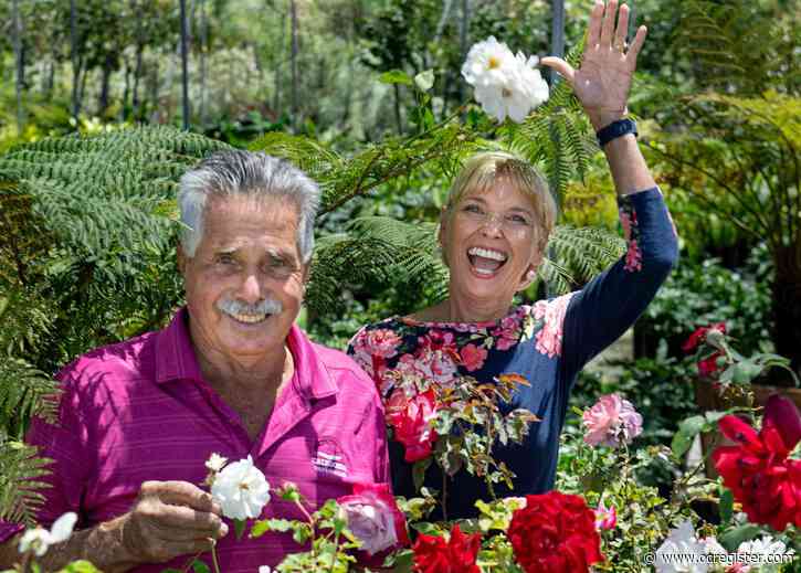 Daughter’s connection to her late father grows like his roses