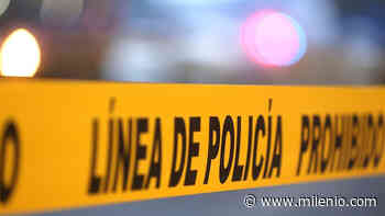 Localizan a un ladrón muerto en Puerto Vallarta - Milenio
