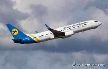 CFIA investigating death of 38 dogs on Toronto-bound flight from Ukraine