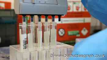 No new Covid-19 deaths announced in Northern Ireland