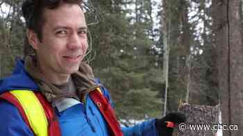 Tracking the mountain pine beetle threat with a drone and a butterfly net