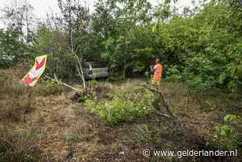 Automobilist neemt afslag op A12 verkeerd en belandt in de bosjes