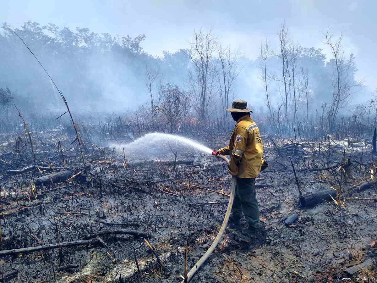 Brigadistas y bomberos de Sitionuevo atienden incendio en Isla Salamanca - El Heraldo (Colombia)