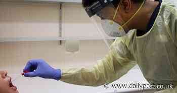 The latest R rate estimate for Wales - and why it's higher than in both England and Scotland - Daily Post