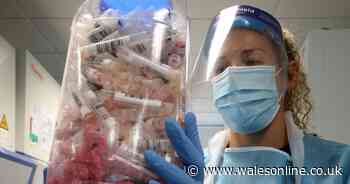 Another eight people with coronavirus have died in Wales - Wales Online