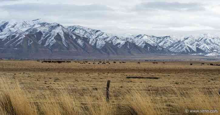 Tooele drinking water is now safe, officials say