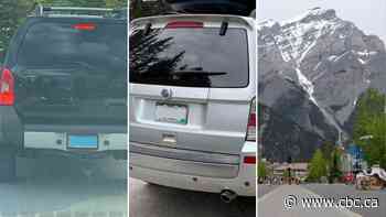 RCMP fined 7 Americans last week for stopping to sightsee in Banff National Park