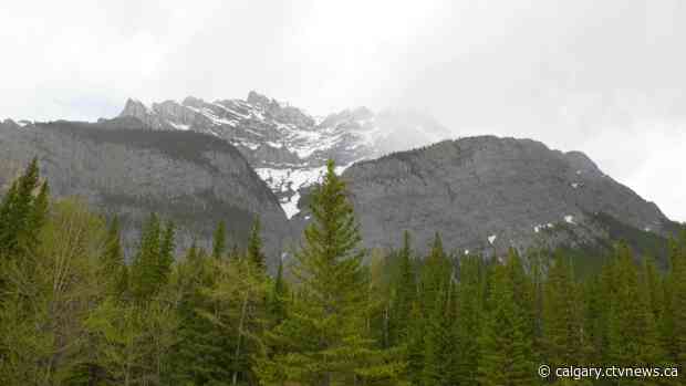 RCMP issued 7 tickets to Americans found in Banff, Alta. over the past week