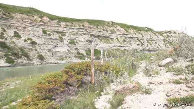 4-year-old child found dead near southern Alberta campground