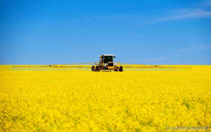 Support to help food and drink exports ‘bounce back’