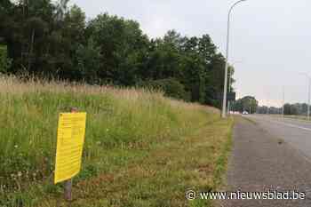 Aanvraag voor 133 woningen langs gewestweg Hasselt-Diest (Herk-de-Stad) - Het Nieuwsblad