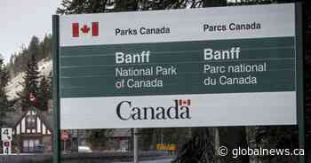 Seven $1,200 tickets given to Americans who hiked in Banff National Park in past week: RCMP