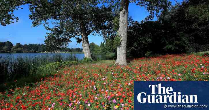 Green groups call for new nature service to aid recovery in England