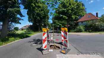Bargteheide: Unglaublich: Plötzlich wächst ein Baum auf der Straße! | shz.de - shz.de