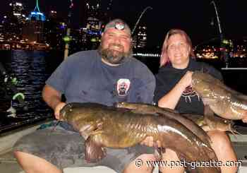 Big fish are getting bigger in Pittsburgh’s rivers