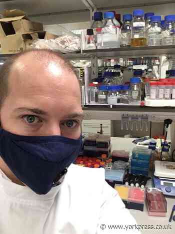 York dementia researchers head back into lab in search for breakthroughs