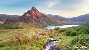 25,000 jobs could be created through nature investment, charities tell Treasury