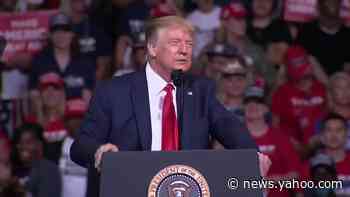 Trump: 'I said to my people, 'Slow the testing down, please!'