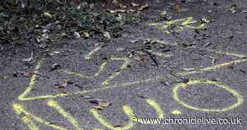 Deranged coronavirus graffiti featuring a swastika daubed in Jesmond Dene