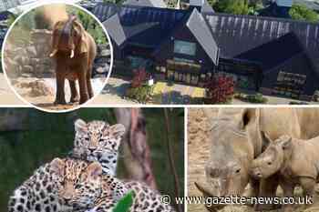 Colchester Zoo is open again... and we'd love to see your pictures!
