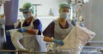 Latest coronavirus updates from Bristol and across UK - Bristol Live