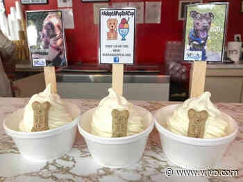 De Dee’s Dairy putting pictures of shelter dogs in ice cream cups to help them get adopted