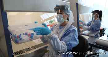 Wales sees one death from lab-confirmed coronavirus for a third straight day