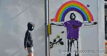 Black Lives Matter T-shirts ripped off wall art and covered in dog faeces