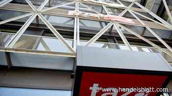 Wirtschaft, Handel & Finanzen: Seehofer prüft Anzeige gegen „taz”-Kolumne - Handelsblatt