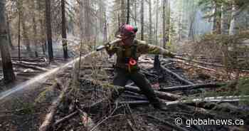 Coronavirus: Is the pandemic contributing to a slower Alberta wildfire season?