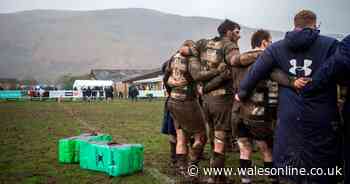 The Welsh rugby lockdown crisis survey - have your say
