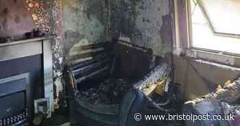 Family cat 'sadly dies' after fire in south Bristol