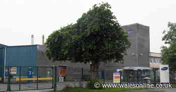 Number of coronavirus cases at 2 Sisters chicken plant on Anglesey rises to 175