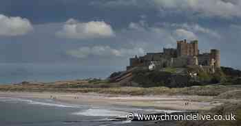 Bamburgh Castle announces reopening date