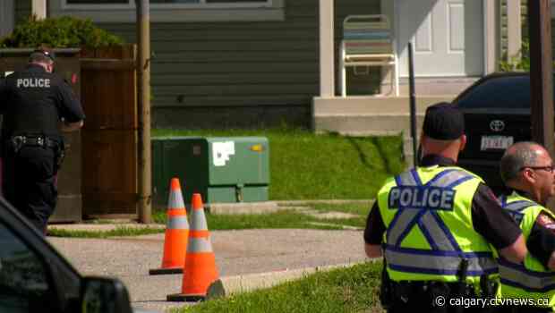Calgary police searching for suspect vehicle after toddler injured in southeast hit-and-run