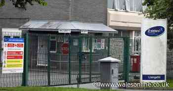 Workers at coronavirus hit 2 Sisters chicken plant describe fear and terror