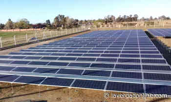 La provincia de Buenos Aires ya tiene 15 parques solares - Diario La Verdad Junín