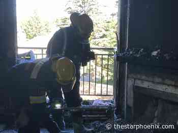 Two pets found dead after apartment blaze causes $600K in damage