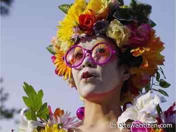'Fringe at home': Festival offers free digital events