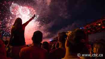 'A bit Big Brother': City councillors question tightened fireworks rules