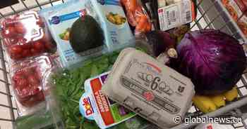 Health-care students to help vulnerable Calgarians during COVID-19 and beyond