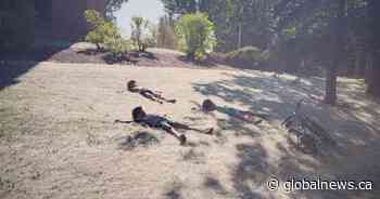 Poplar fluff piles up on Edmonton trails and parks - Globalnews.ca