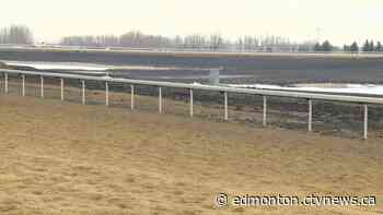 And they're off! Horse racing resumes Sunday in Edmonton - CTV News Edmonton